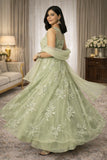 Pista Green Thread Embroidered Net Lehenga Set